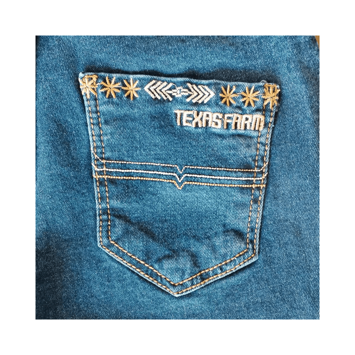 Calça Jeans Bordada Texas Farm Spur